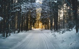 Titulní obrázek k příspěvku 20.1.-24.1.2025