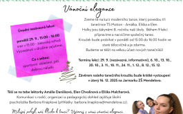 Titulní obrázek k příspěvku Taneční kroužek (9 lekcí)
